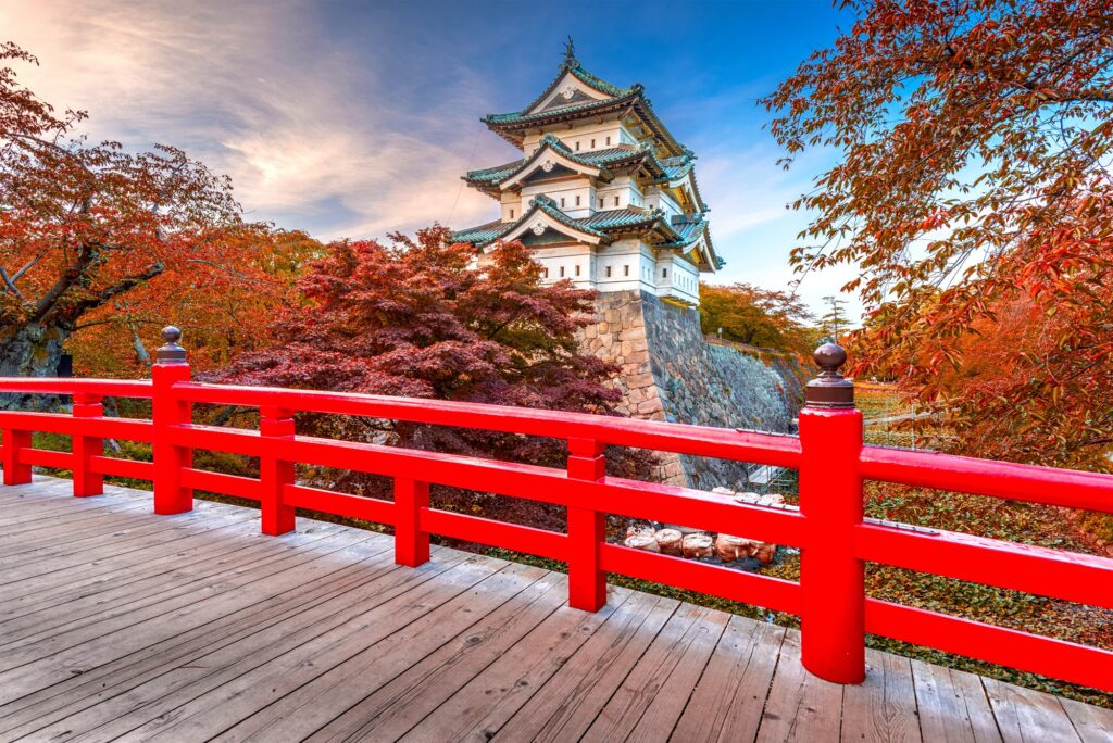 Plan My Trip with Uma|Travel Extras