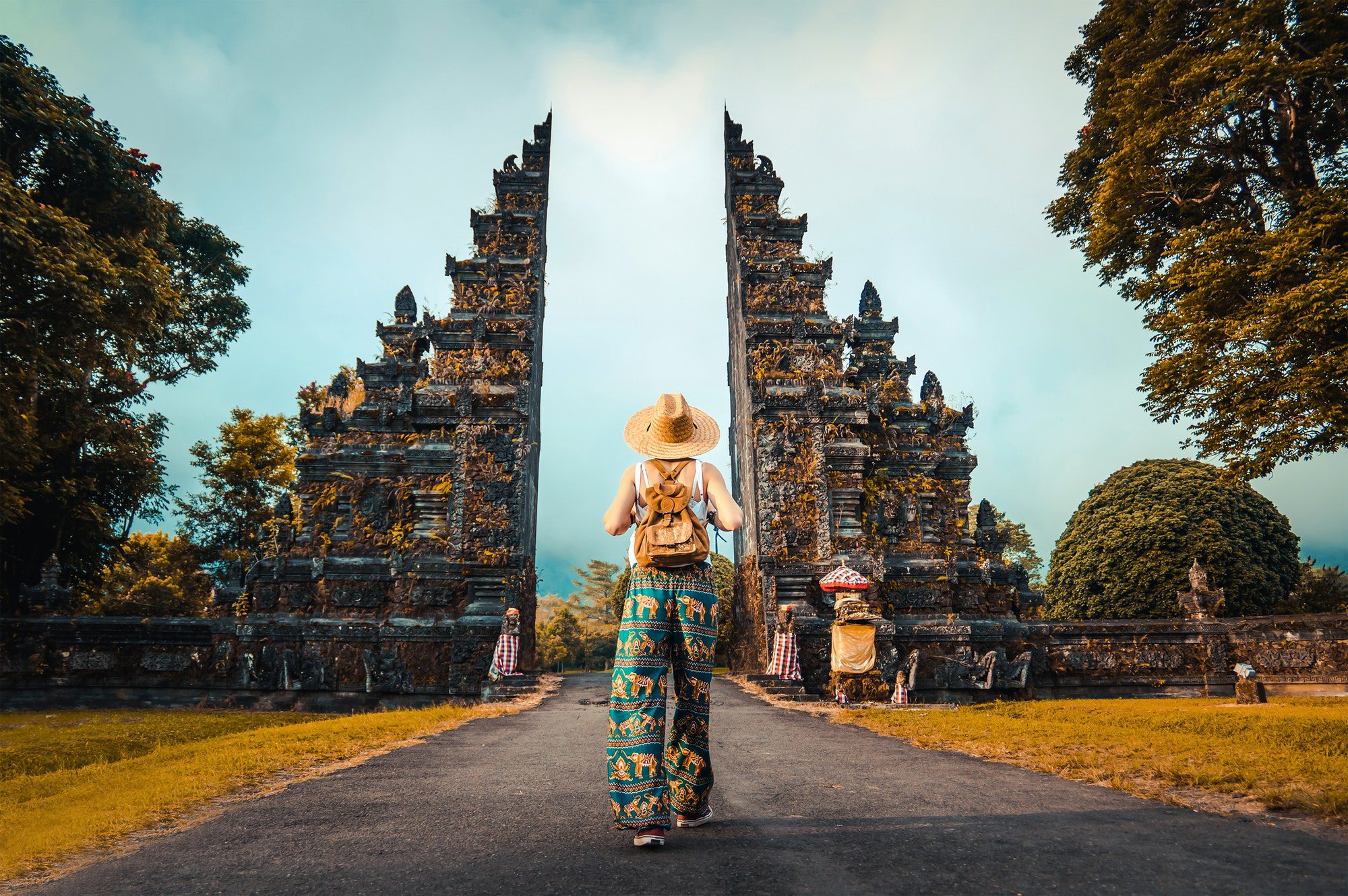 Plan My Trip with Uma|Home