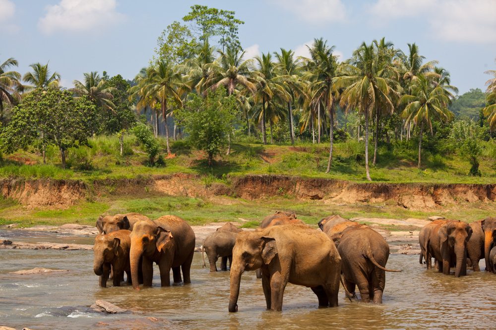 Plan My Trip with Uma|Popular Packages