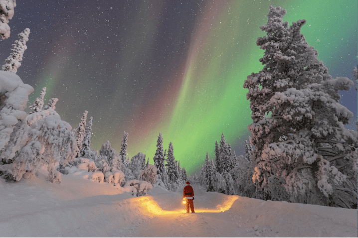Plan My Trip with Uma|Current deals