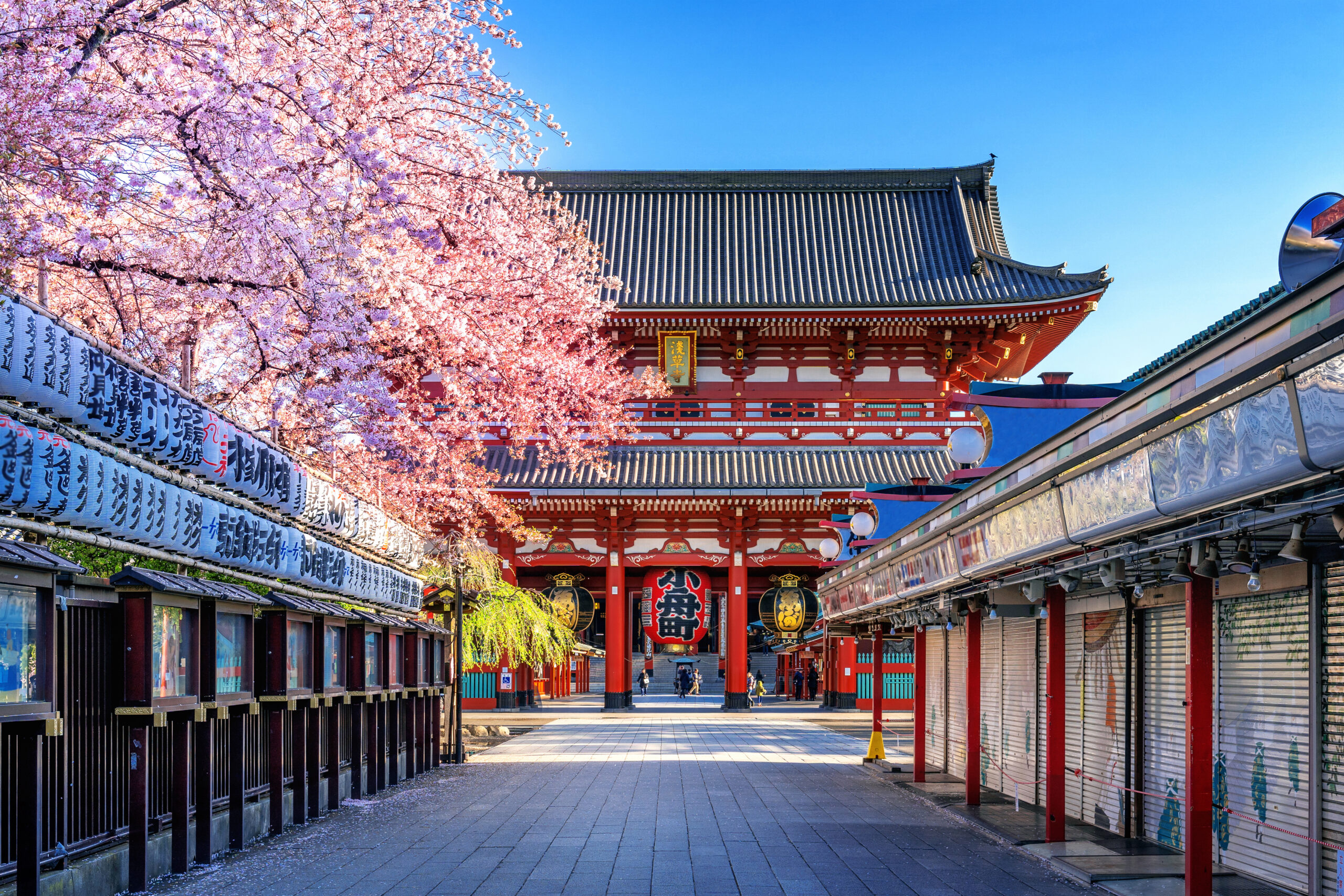 Plan My Trip with Uma|Japan & Seoul Discovery
