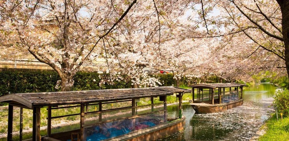 Plan My Trip with Uma|Current deals
