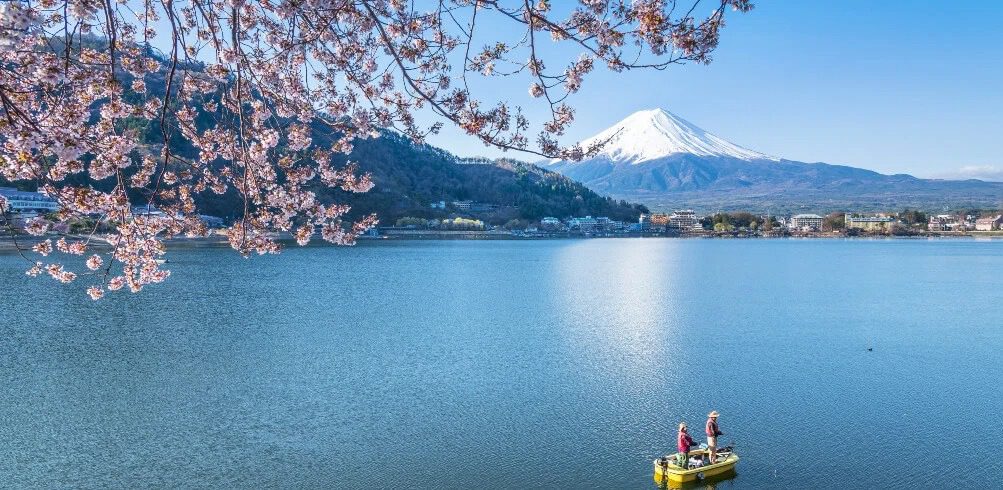 Plan My Trip with Uma|Current deals