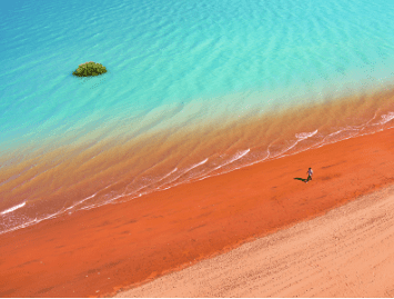Plan My Trip with Uma|Current deals