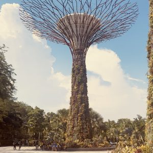 Plan My Trip with Uma | Singapore Family Fun Plan My Trip with Uma | Singapore Family Fun