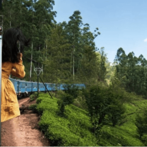 Plan My Trip with Uma | Sri Lanka Highlights Tour
