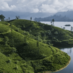 Plan My Trip with Uma | Sri Lanka Highlights Tour