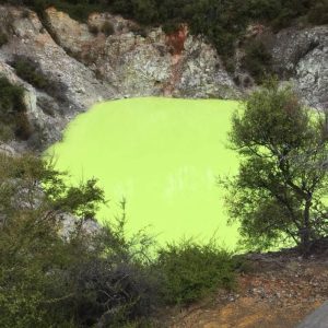 Plan My Trip with Uma | New Zealand South Island Escape