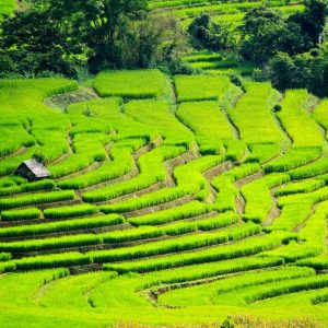Plan My Trip with Uma | Escape to Bali Plan My Trip with Uma | Escape to Bali