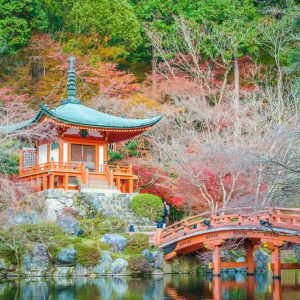 Plan My Trip with Uma | Japan & Seoul Discovery