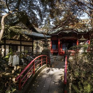 Plan My Trip with Uma | Japan & Seoul Discovery