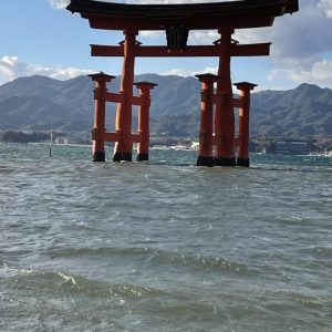 Plan My Trip with Uma | Japan & Seoul Discovery