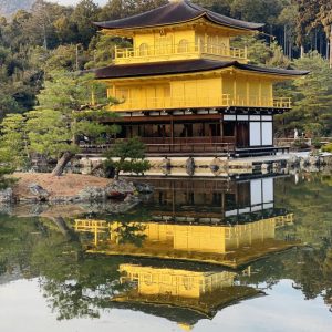 Plan My Trip with Uma | Japan & Seoul Discovery