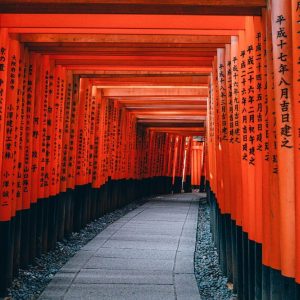Plan My Trip with Uma | Japan & Seoul Discovery